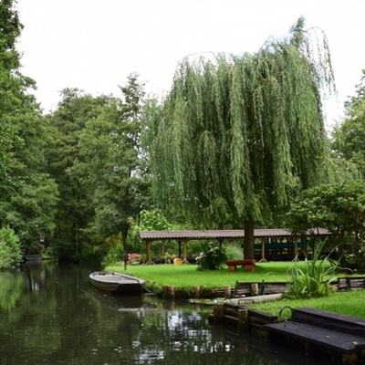 皇冠体彩app下载官网