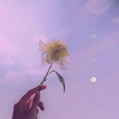 江南全站登录下载手机版